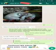 CYTOTEC Ori 200mg | Jual Obat Aborsi Asli di Demak ( Wa 082322221935 )